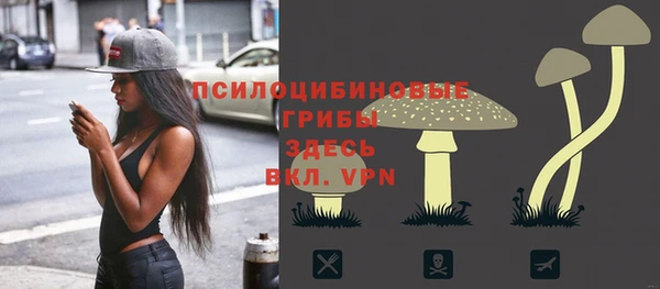 стаф Алзамай
