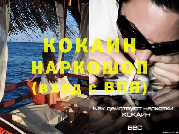 индика Алексеевка